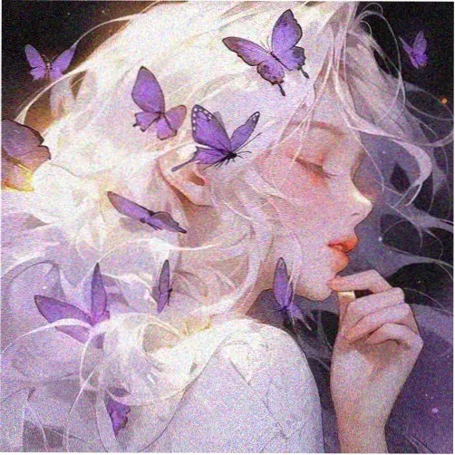 岚·幻影