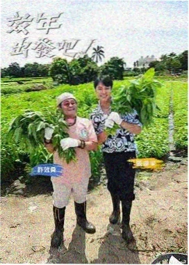 立体剧场